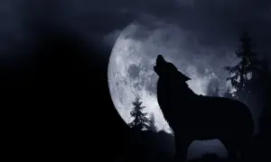 Un lupo ulula alla luna piena, un'iconica "luna del lupo" che illumina un bosco oscuro e misterioso.