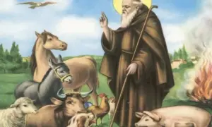 Santo con maiale ai piedi, circondato da animali. Un santo con barba bianca benedice, con un maiale rosa ai suoi piedi, circondato da pecore, mucche, galli, un asino e un cavallo.