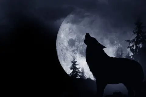 Un lupo ulula alla luna piena, un'iconica "luna del lupo" che illumina un bosco oscuro e misterioso.