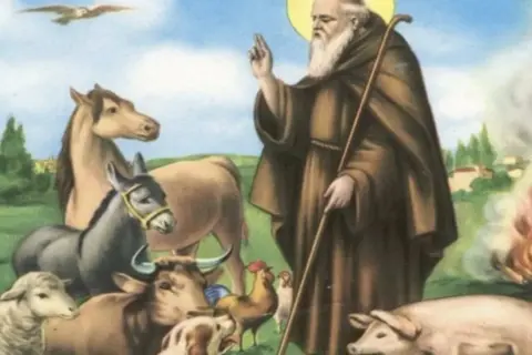 Santo con maiale ai piedi, circondato da animali. Un santo con barba bianca benedice, con un maiale rosa ai suoi piedi, circondato da pecore, mucche, galli, un asino e un cavallo.