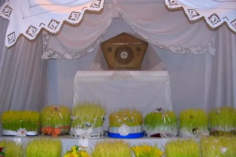 Il giro dei sepolcri: un altare con un ostensorio dorato, circondato da vasi di grano verde decorati con nastri e fiori.