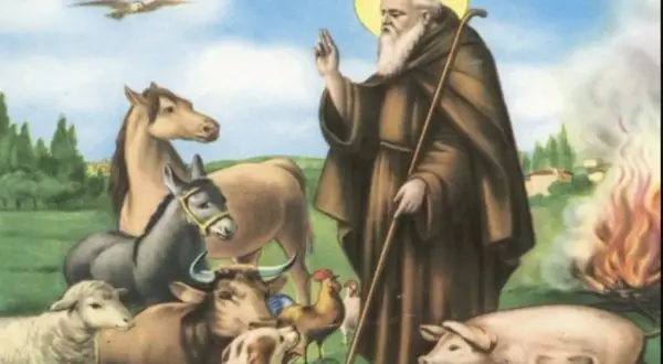 Santo con maiale ai piedi, circondato da animali. Un santo con barba bianca benedice, con un maiale rosa ai suoi piedi, circondato da pecore, mucche, galli, un asino e un cavallo.