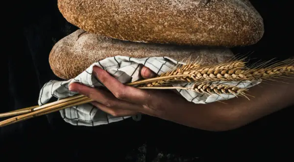Mani che sorreggono pani rustici e spighe di grano, evocando il significato pagano del raccolto e della fertilità.
