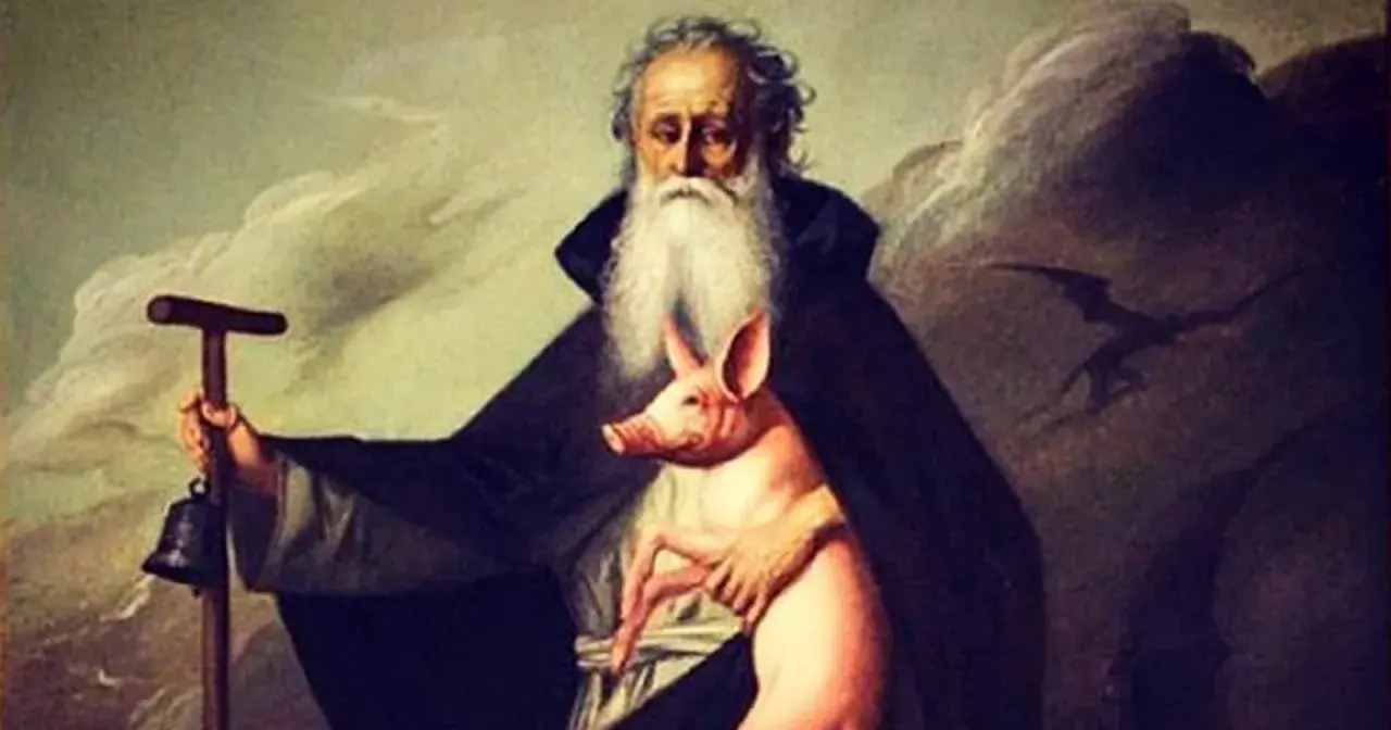 Un anziano barbuto con un maialino rosa, un bastone con campana e un'ombra di drago. La storia del porcellino di Sant'Antonio.