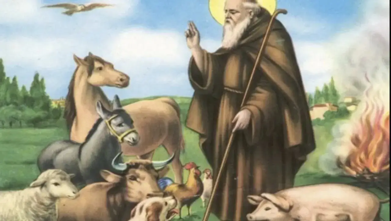 Santo con maiale ai piedi, circondato da animali. Un santo con aureola benedice, mentre un maiale pascola sereno.