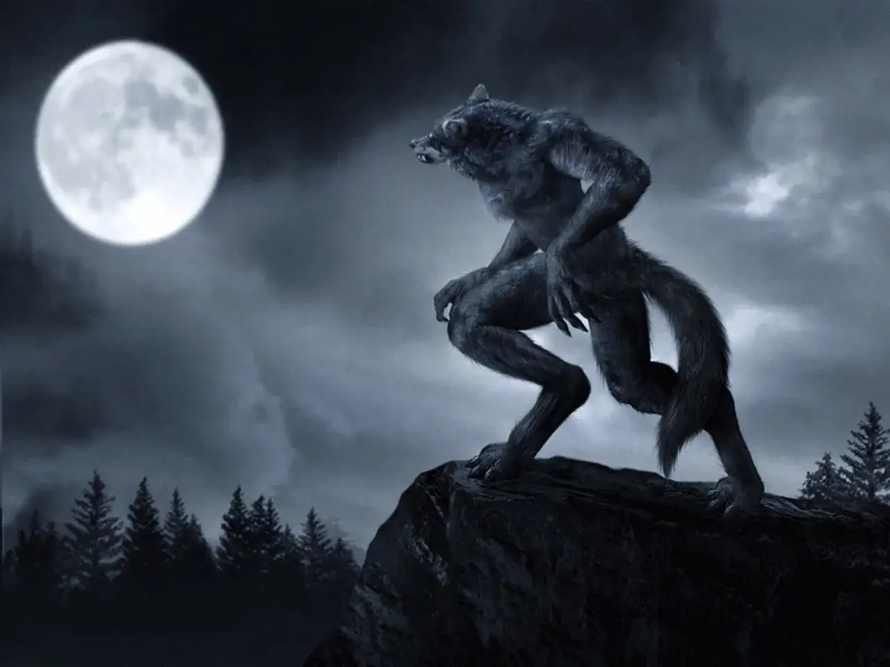 Un lupo manaro si erge su una roccia sotto una luna piena, con alberi scuri sullo sfondo.