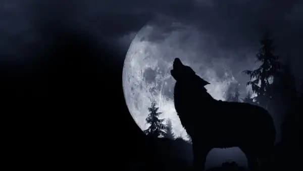 Un lupo ulula alla luna piena, un'iconica "luna del lupo" che illumina un bosco oscuro e misterioso.